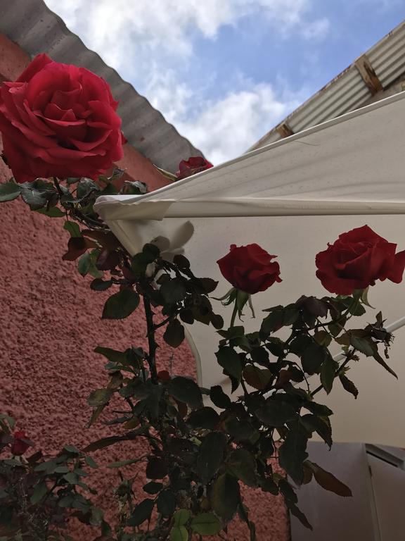 Hostal Avenue La Serena Exteriér fotografie