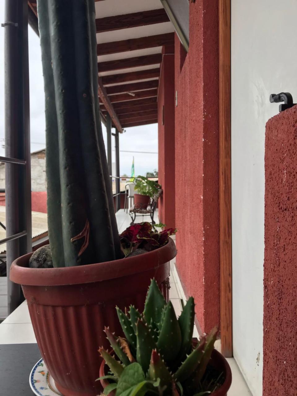 Hostal Avenue La Serena Exteriér fotografie